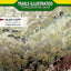 Tahoe National Forest West Map [Yuba and American Rivers] (National Geographic Trails Illustrated Map, 804)