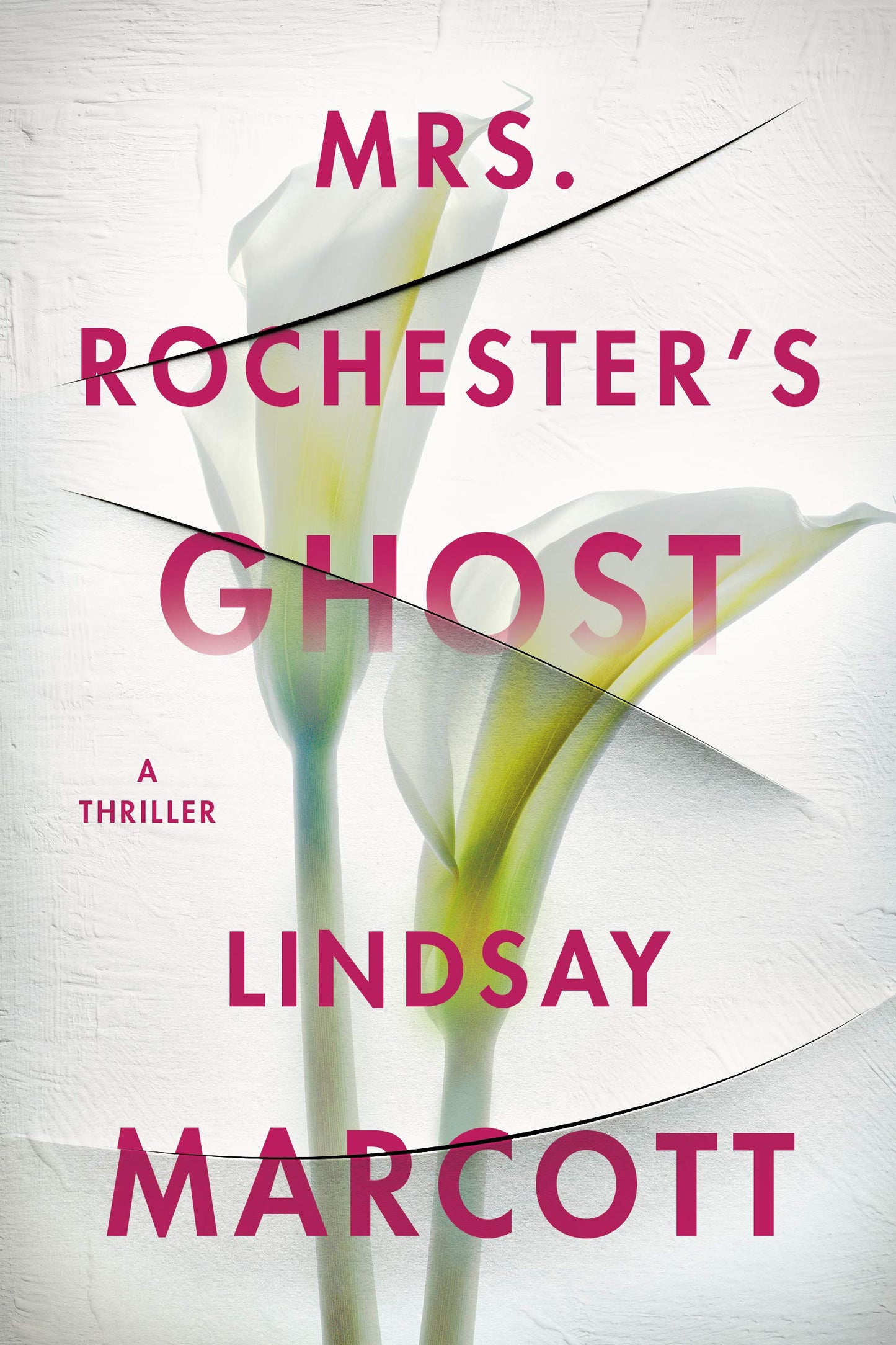 Mrs. Rochester's Ghost: A Thriller