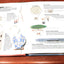 Flight: A Pop-Up Book of Aircraft (Crowther's Transportation