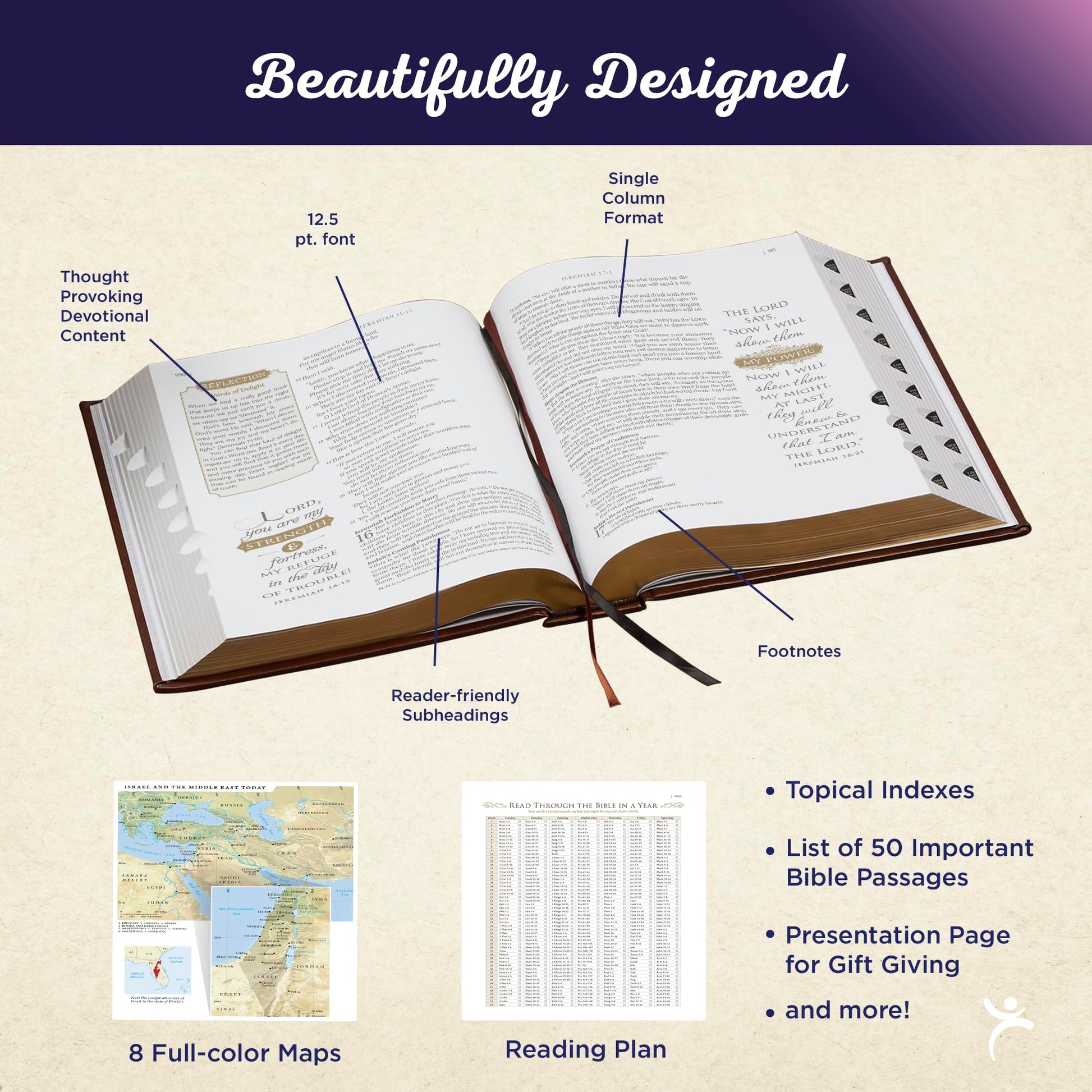 NLT Family Heritage Bible, Large Print Family Heirloom Devotional Bible for Study, New Living Translation Holy Bible Vegan Leather Hardcover, ... Content, Black (NLT Family Heritage Editions)