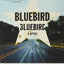 Bluebird, Bluebird (A Highway 59 Novel, 1)
