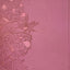 NLT Personal Size Giant Print Bible, Filament Enabled (LeatherLike, Peony Pink, Indexed, Red Letter): Includes Free Access to the Filament Bible App ... Notes, Devotionals, Worship Music, and Video