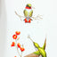 A Field Guide to Little-Known and Seldom-Seen Birds of North America