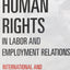 Human Rights in Labor and Employment Relations: International and Domestic Perspectives (LERA Research Volume)