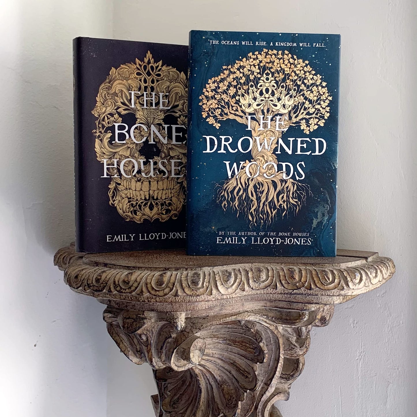 The Drowned Woods