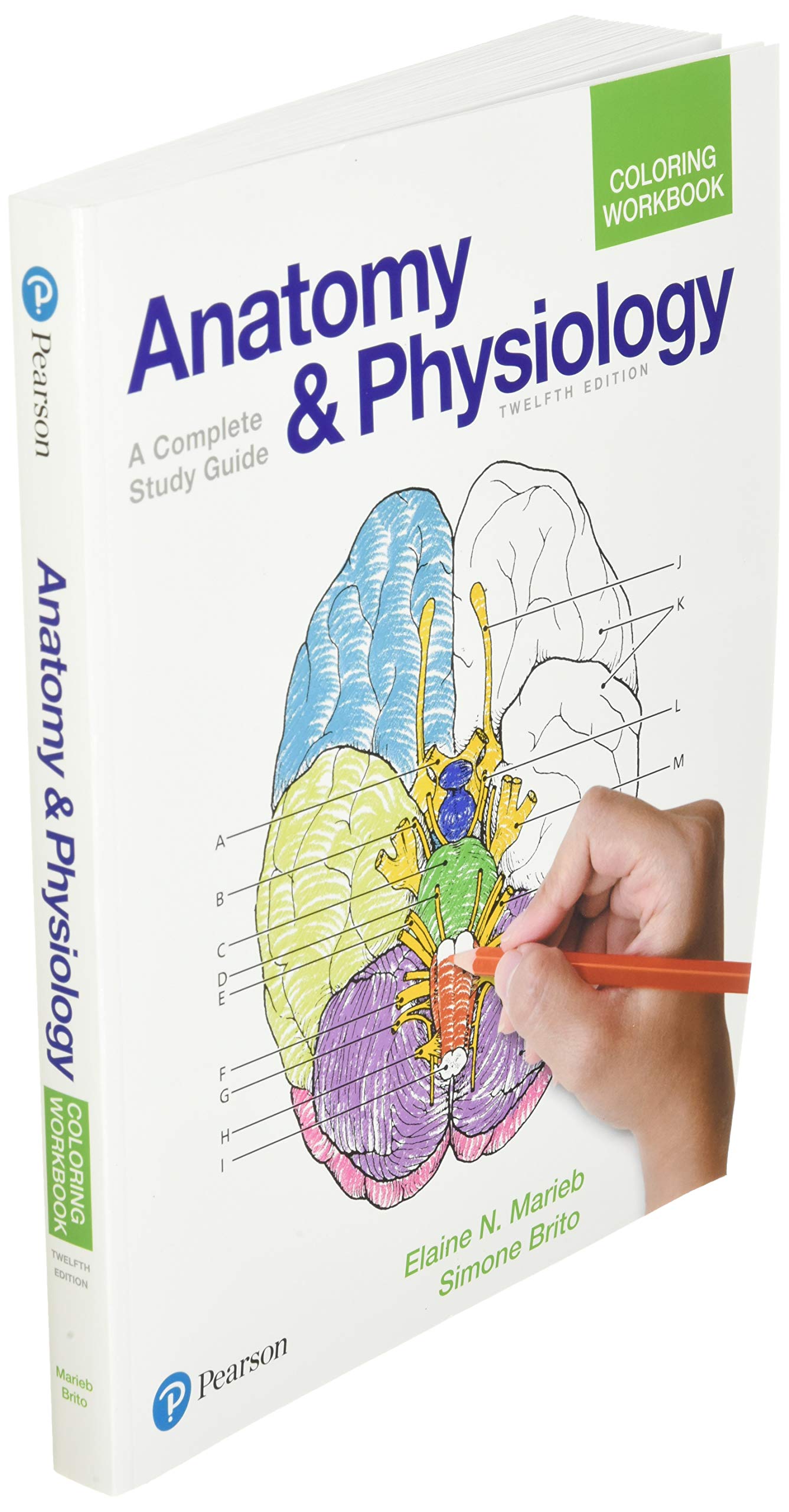 Anatomy and Physiology Coloring Workbook: A Complete Study G
