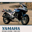 Yamaha FJ1100 & FJ1200 84-93 by Penton Staff