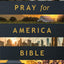 The One Year Pray for America Bible, NLT (Paperback) - Inspirational Daily Bible with Non-Partisan Prayer Prompts