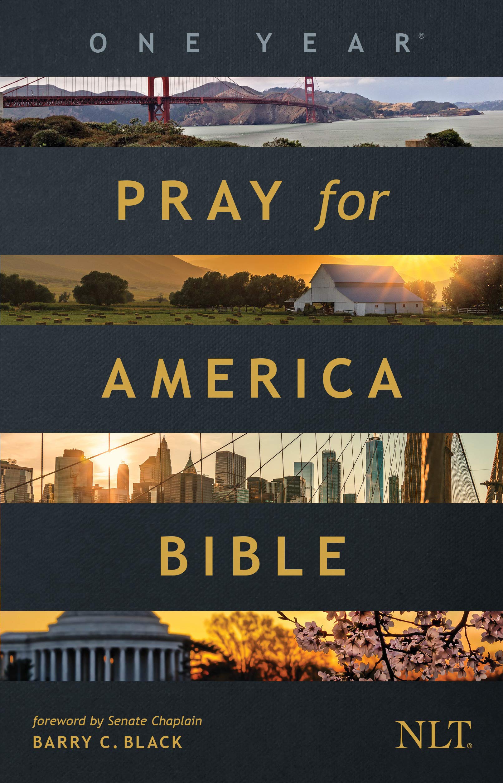 The One Year Pray for America Bible, NLT (Paperback) - Inspirational Daily Bible with Non-Partisan Prayer Prompts