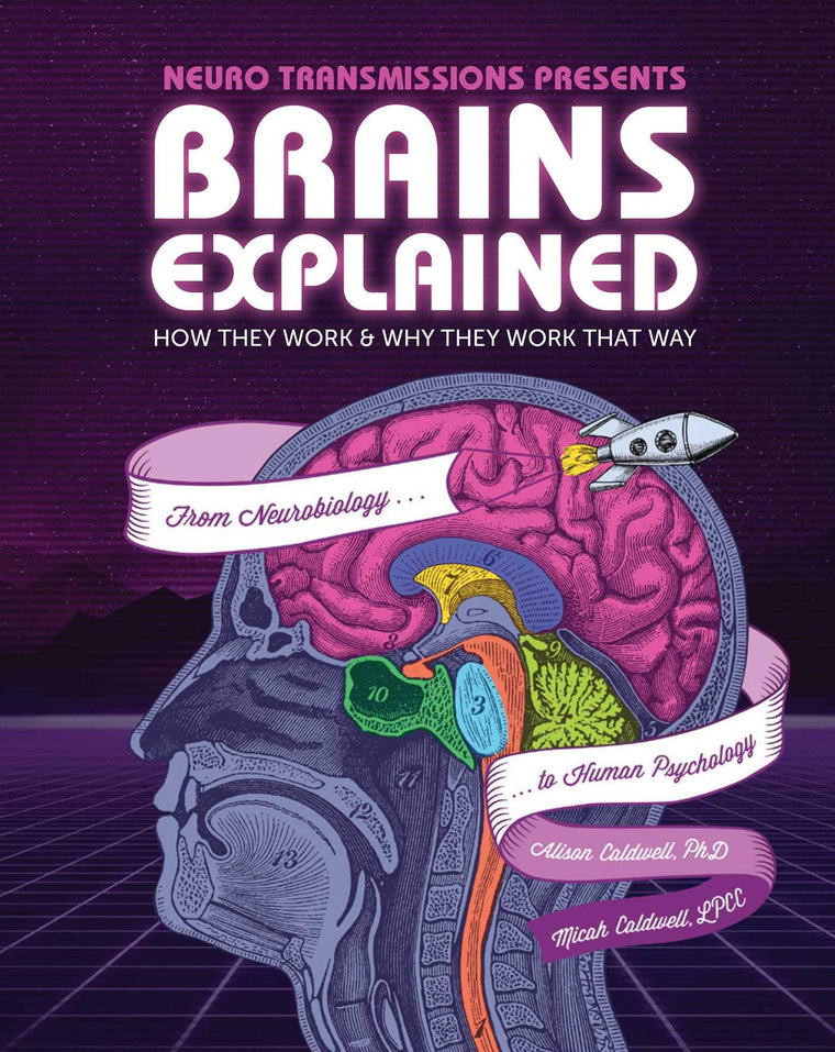 Brains Explained: How They Work & Why They Work That Way  STEM Learning about the Human Brain  Fun and Educational Facts about Human Body