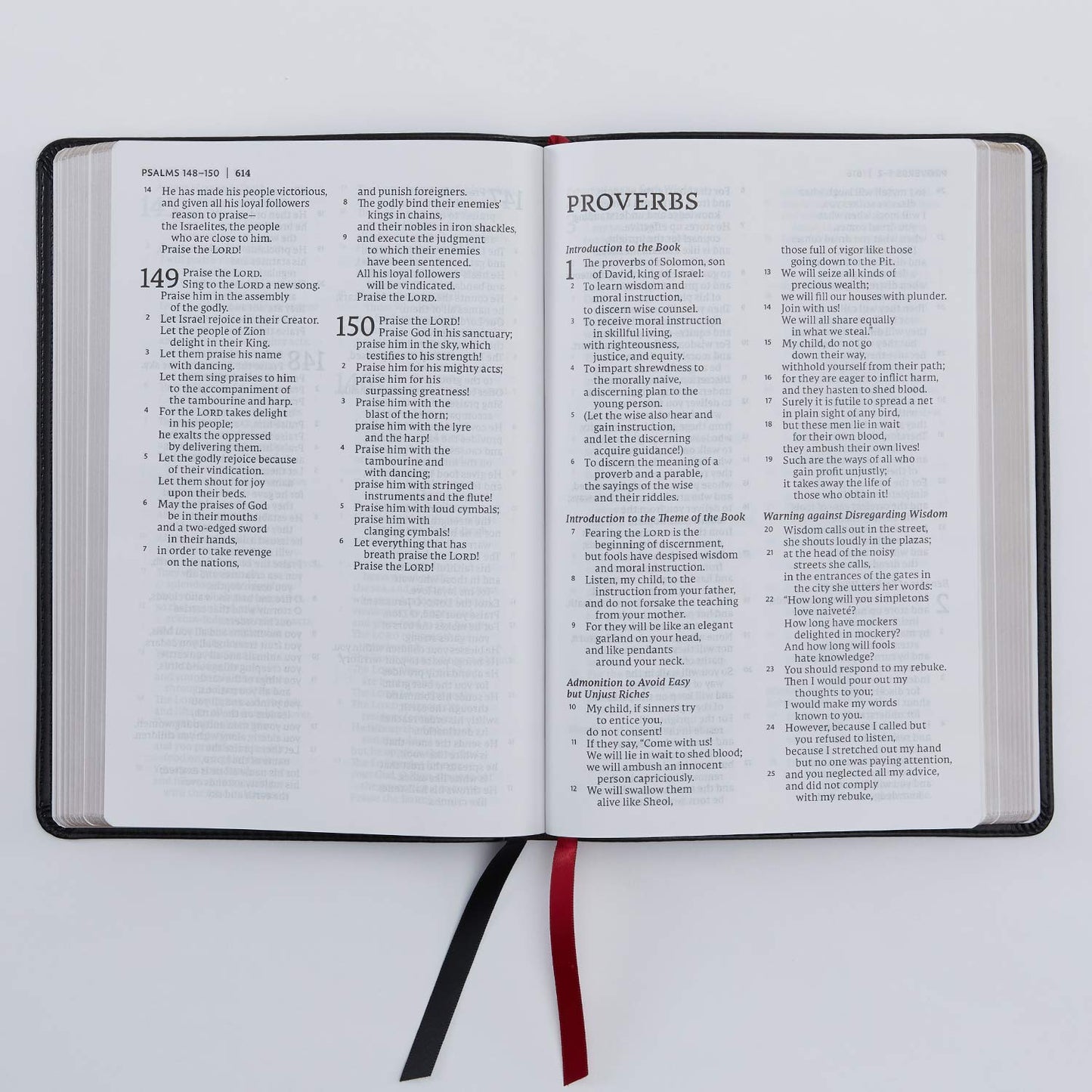 NET Bible, Thinline Large Print, Leathersoft, Black, Comfort Print: Holy Bible