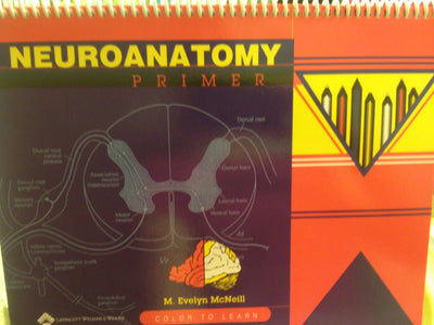 Neuroanatomy Primer: Color to Learn
