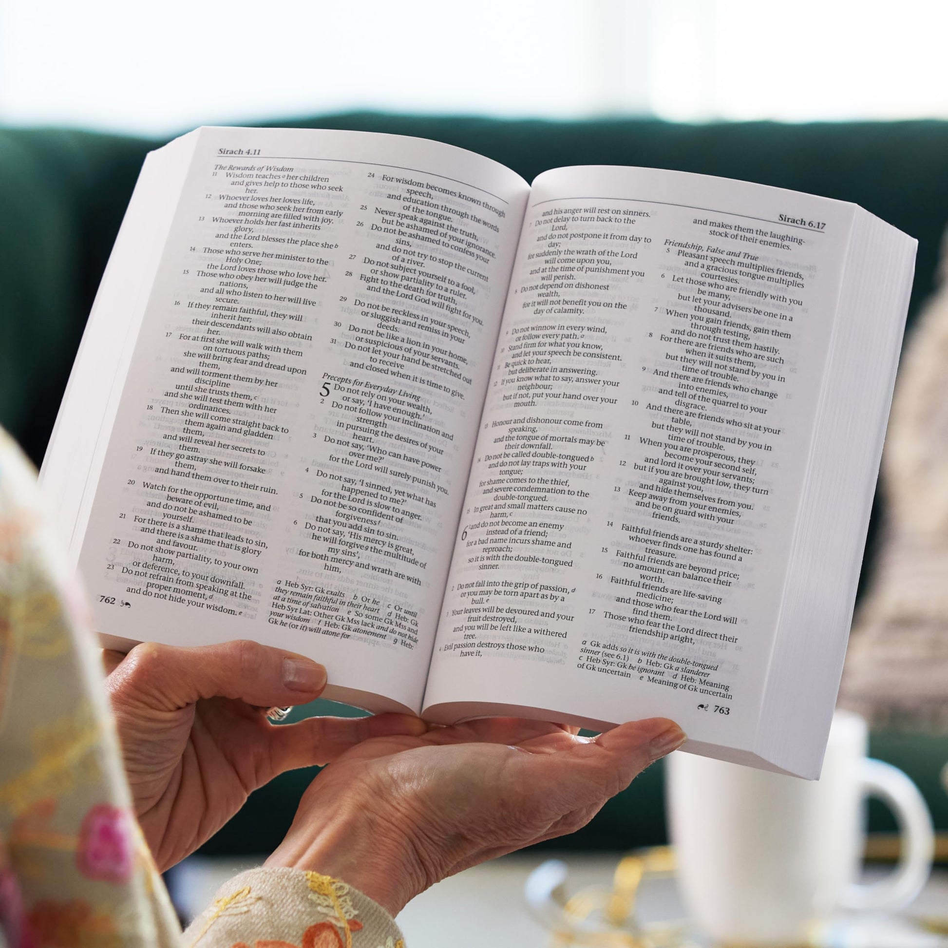 NRSV, Catholic Edition Bible, Hardcover, Hillside Scenic: Holy Bible
