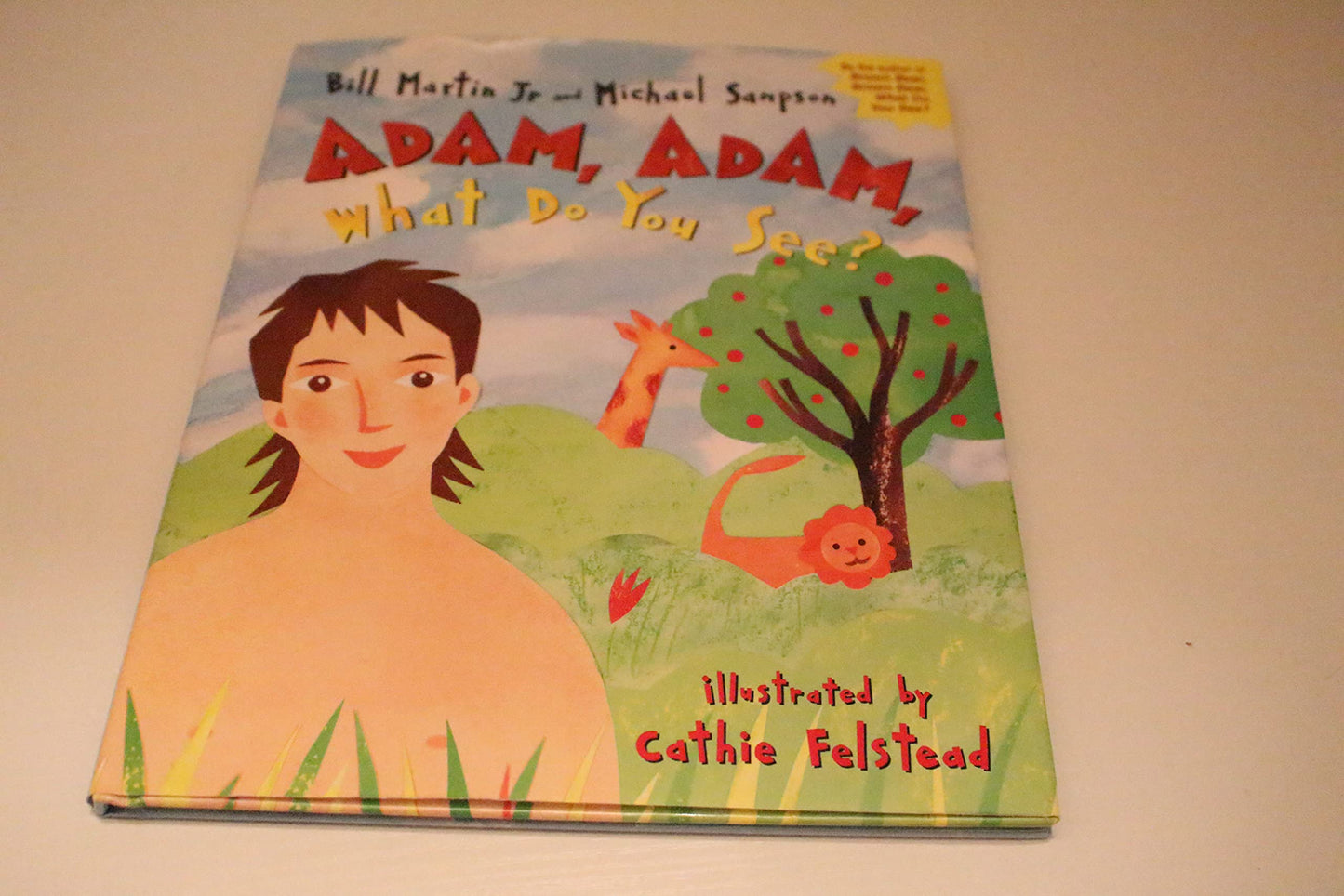 Adam, Adam What Do You See?