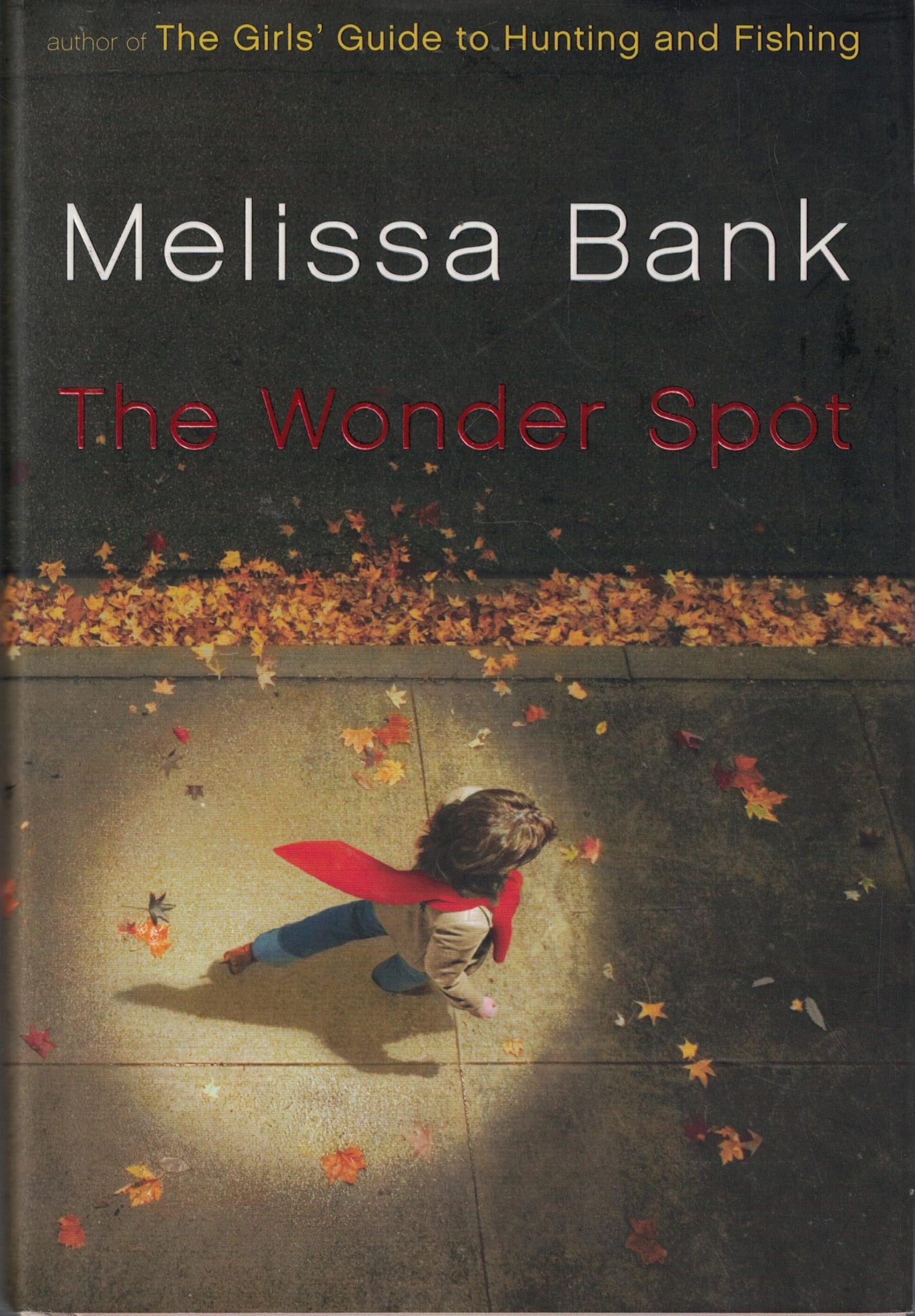 The Wonder Spot by Melissa Bank