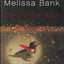 The Wonder Spot by Melissa Bank