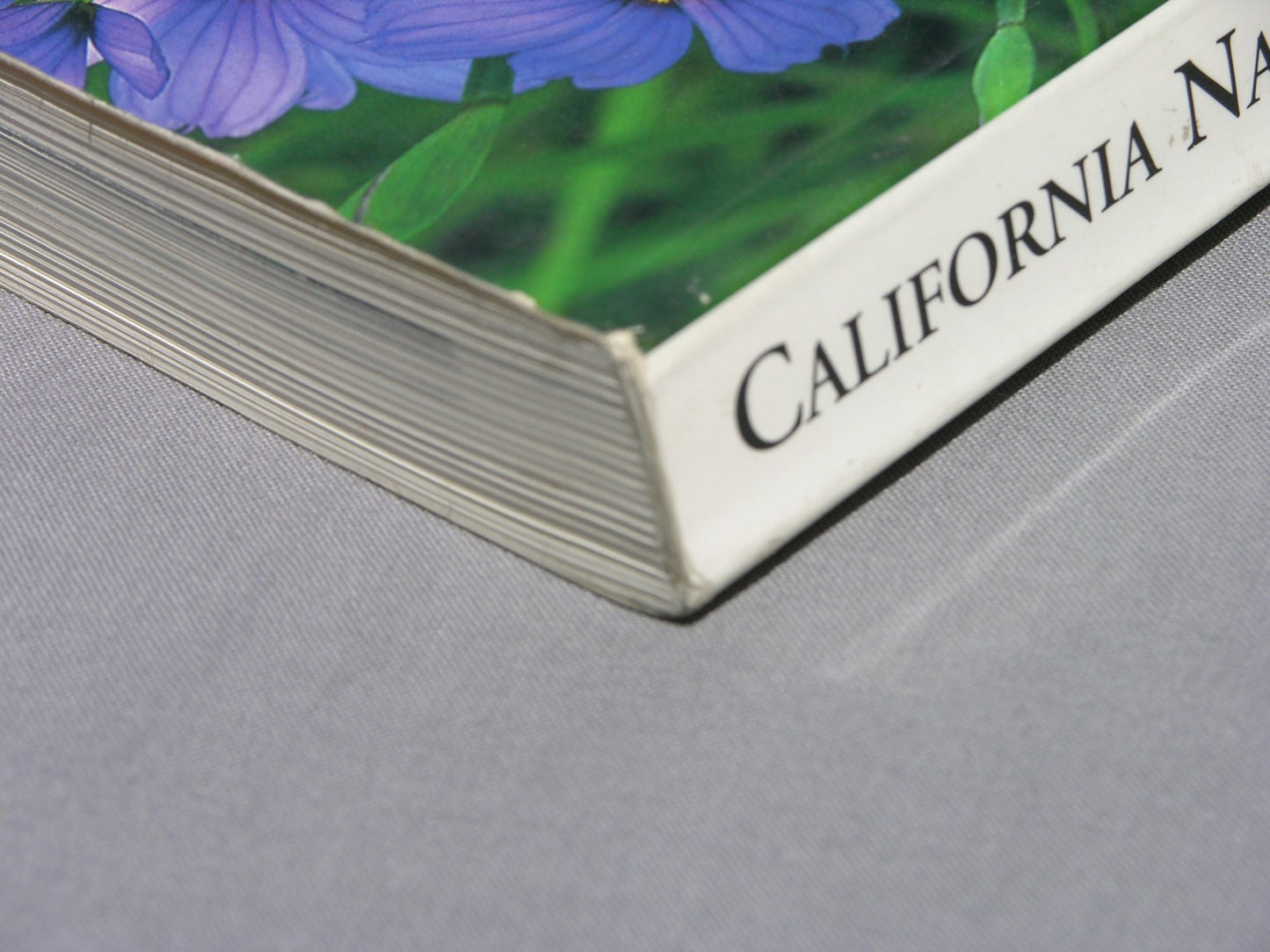 California Native Plants for the Garden