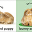 Baby Touch and Feel: Bunny