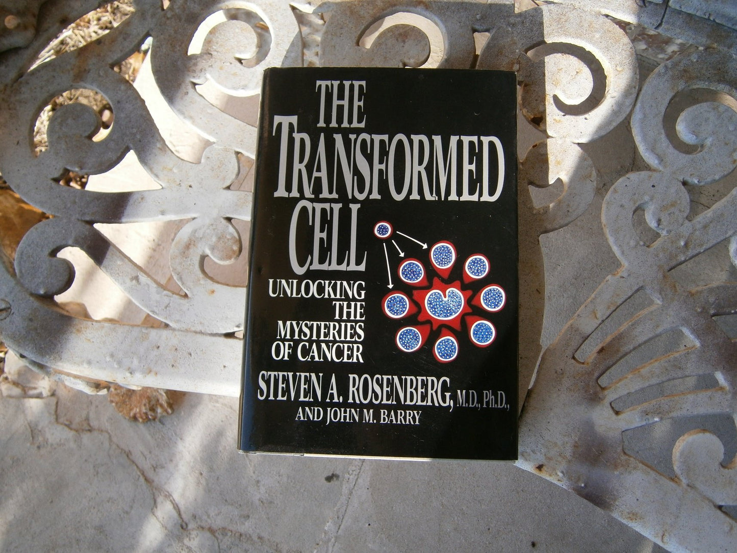 The Transformed Cell