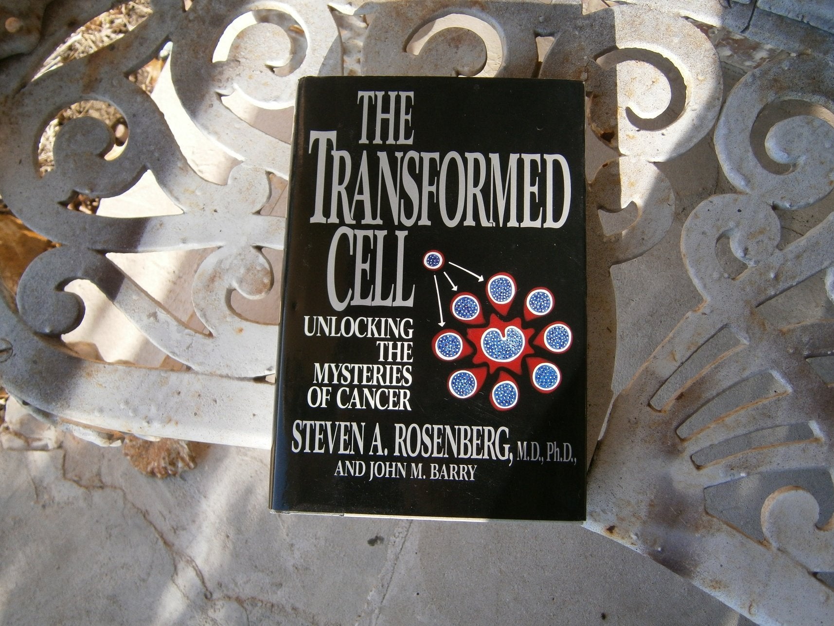 The Transformed Cell