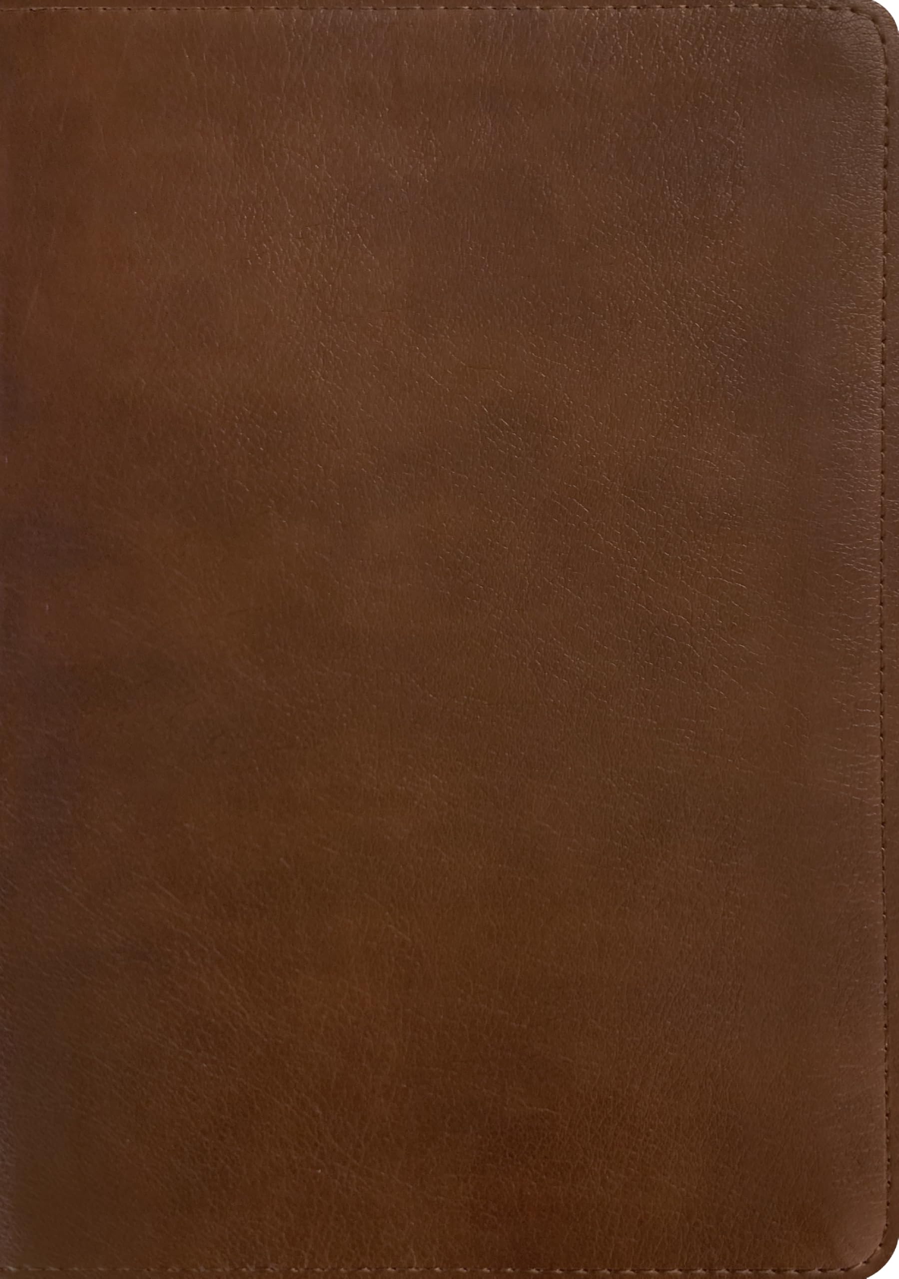 NLT Personal Size Giant Print Bible, Filament Enabled (LeatherLike, Rustic Brown, Red Letter): Includes Free Access to the Filament Bible App ... Notes, Devotionals, Worship Music, and Video