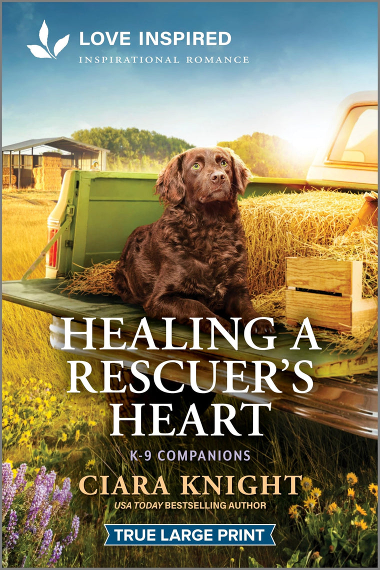 Healing a Rescuer's Heart: An Uplifting Inspirational Romance (K-9 Companions, 43)