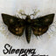 Sleeping Beauties, Vol. 2 (Graphic Novel)