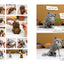 Claymates (Claymates, 1)
