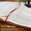 The Spiritual Growth Bible, Study Bible, NLT - New Living Translation Holy Bible, Faux Leather, Pink (NLT Spiritual Growth Editions)