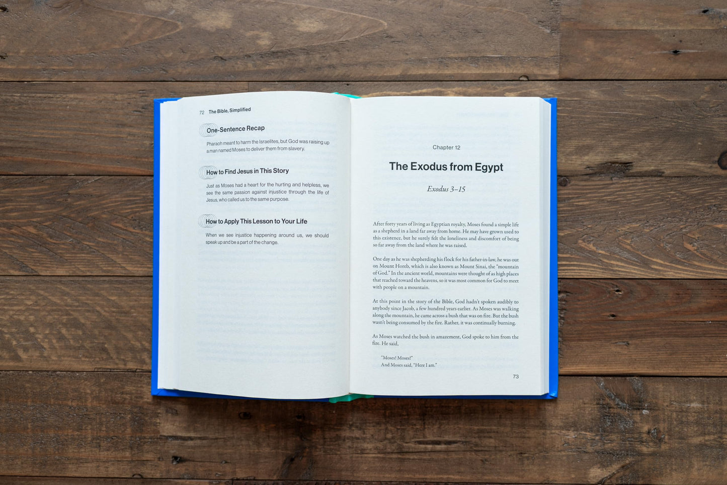 The Bible, Simplified: Learn the Story, Live the Story (A Christian Bible Study Guide to Help You Understand the Meaning and the Message of Scripture)