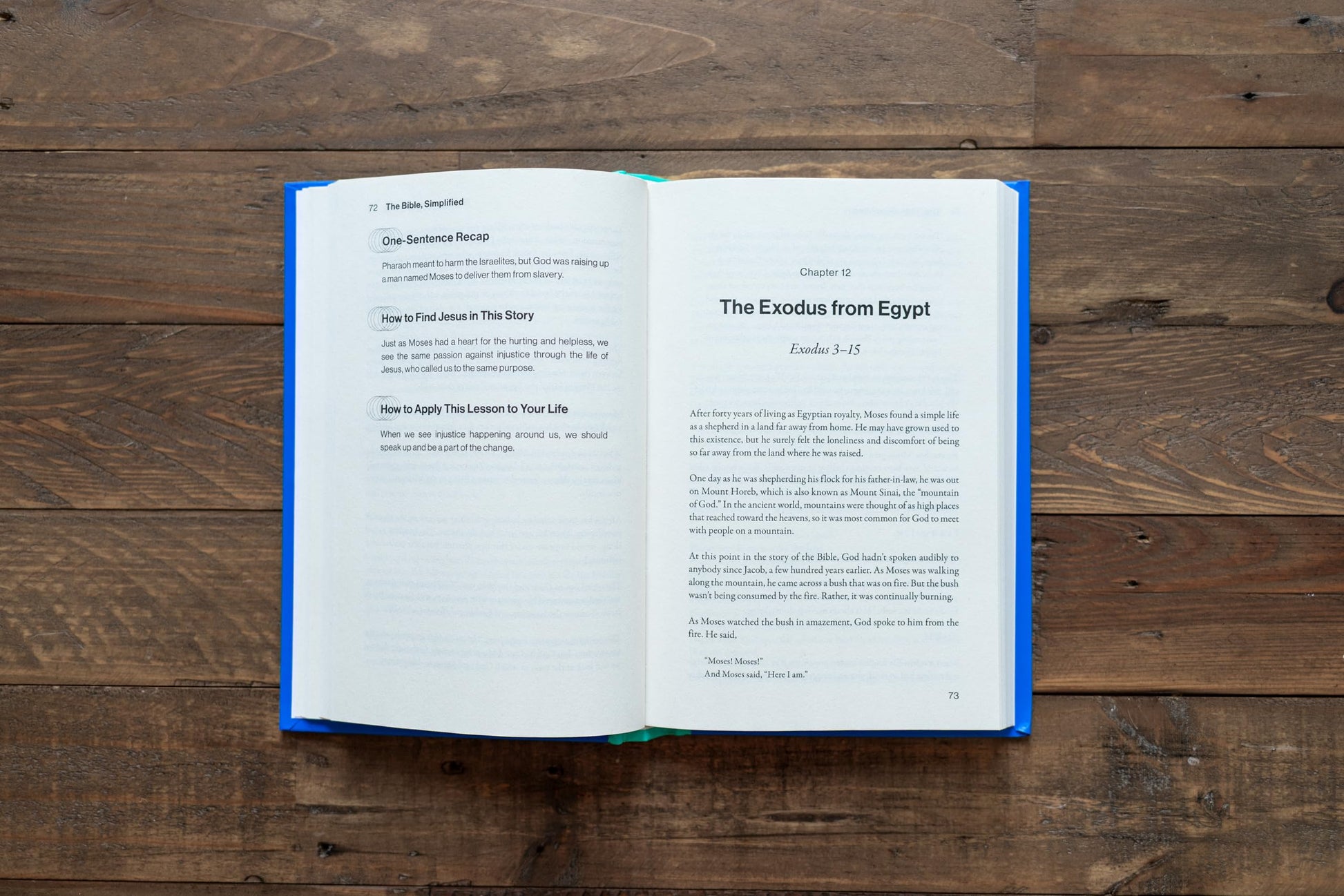 The Bible, Simplified: Learn the Story, Live the Story (A Christian Bible Study Guide to Help You Understand the Meaning and the Message of Scripture)