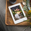 Gather and Give: Sharing Gods Heart Through Everyday Hospitality