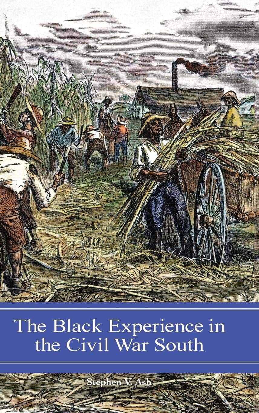 The Black Experience in the Civil War South (Reflections on the Civil War Era)