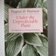 Under the Unpredictable Plant: An Exploration in Vocational Holiness