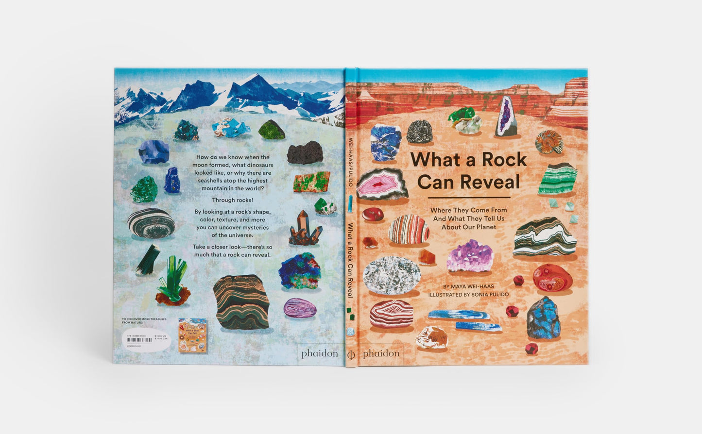What a Rock Can Reveal: Where They Come From And What They Tell Us About Our Planet