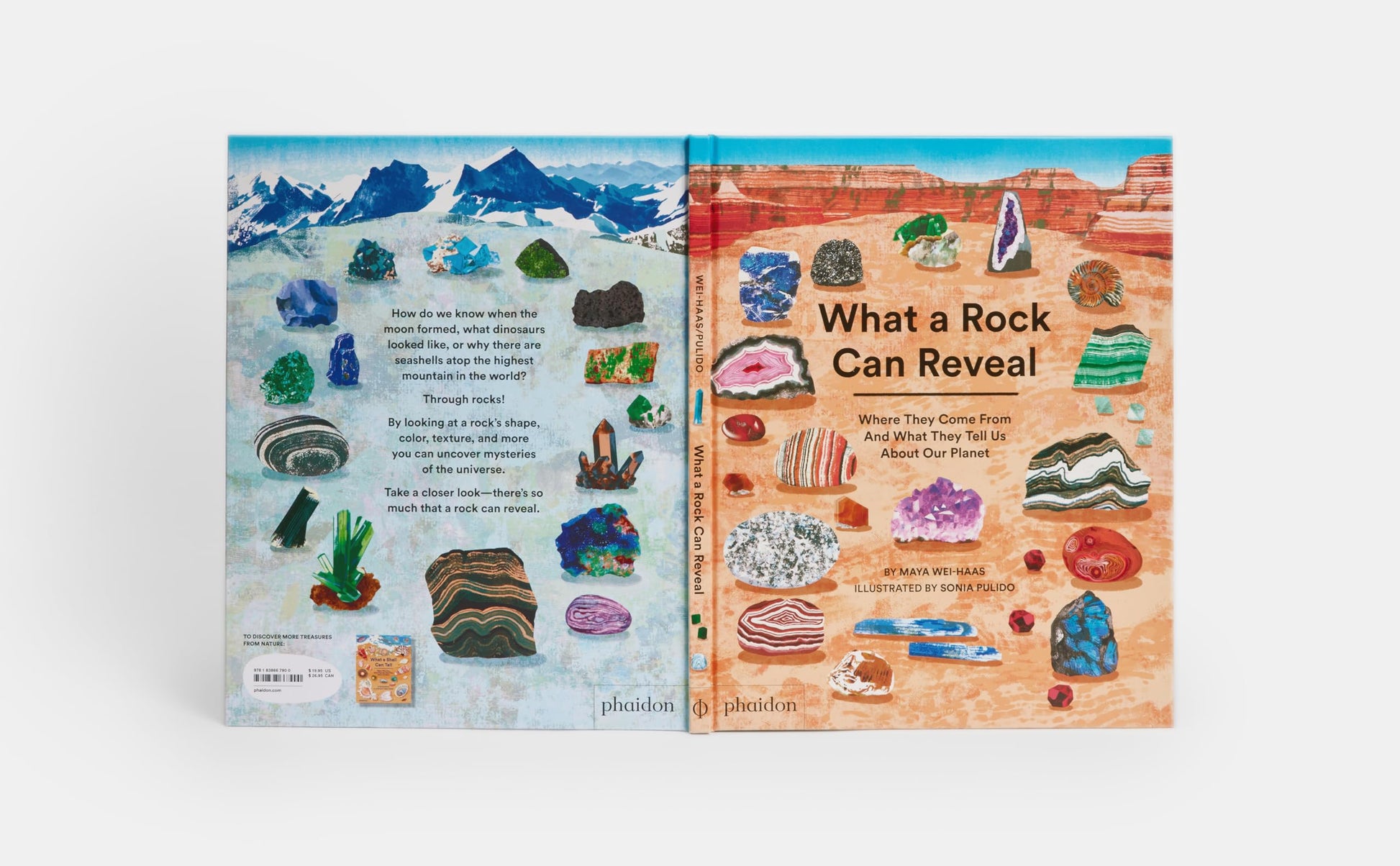 What a Rock Can Reveal: Where They Come From And What They Tell Us About Our Planet