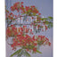 NRSV Catholic Edition Bible, Royal Poinciana Hardcover (Global Cover Series): Holy Bible