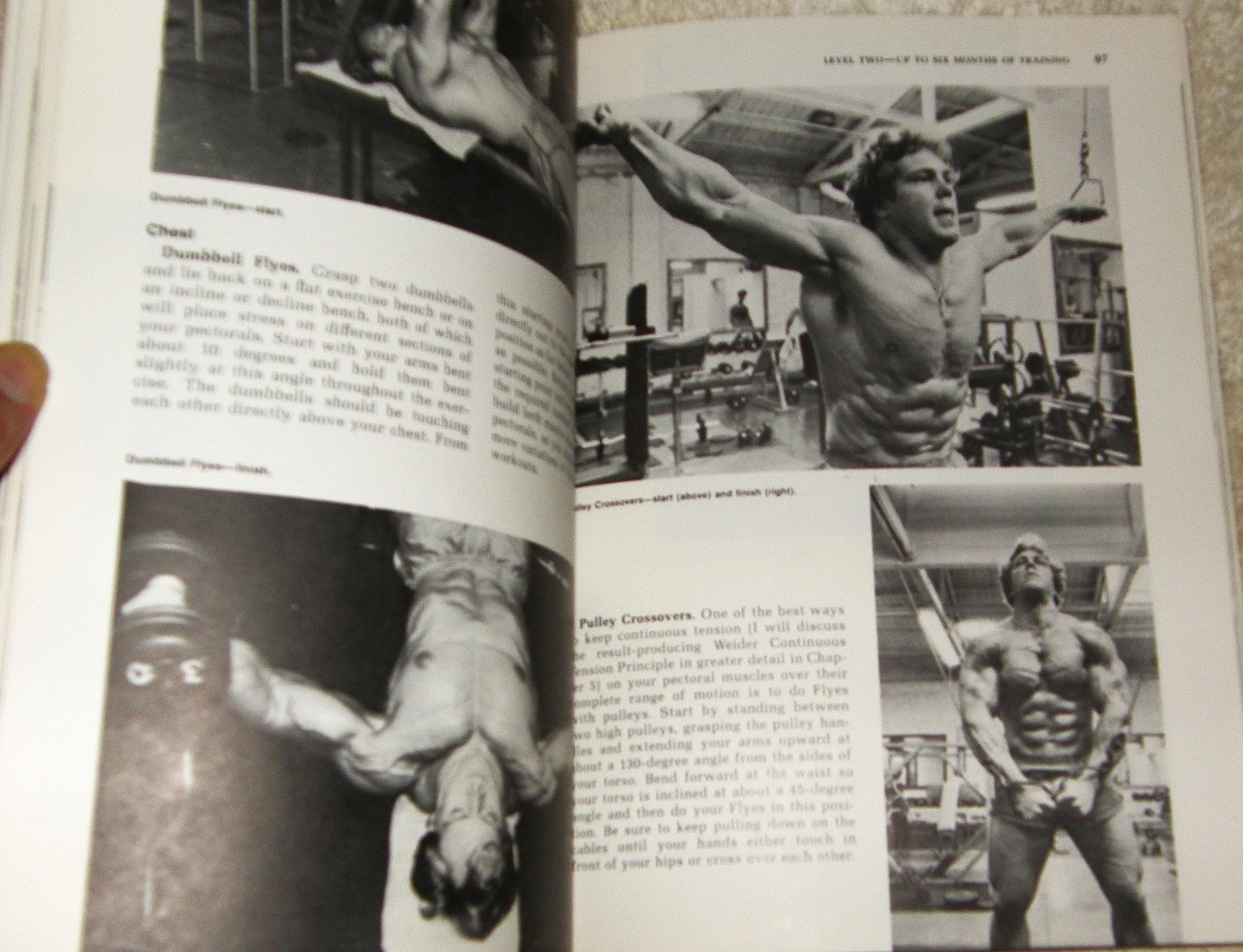Bodybuilding: The Weider Approach