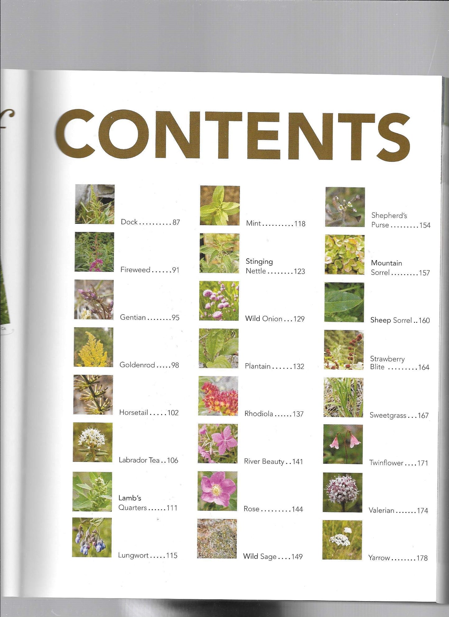 Boreal Herbal Wild Food and Medicine Plants of the North