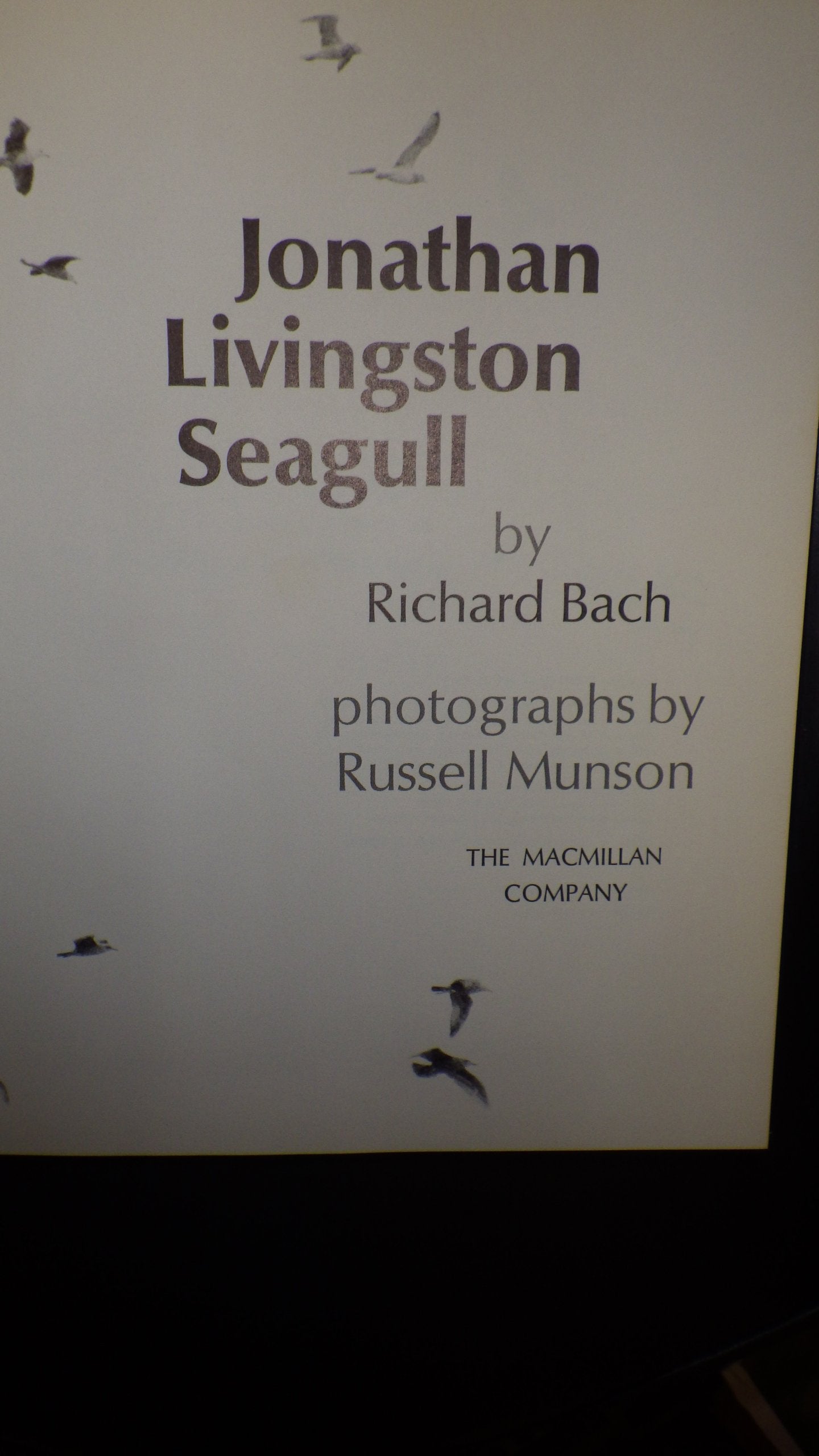 Jonathan Livingston Seagull
