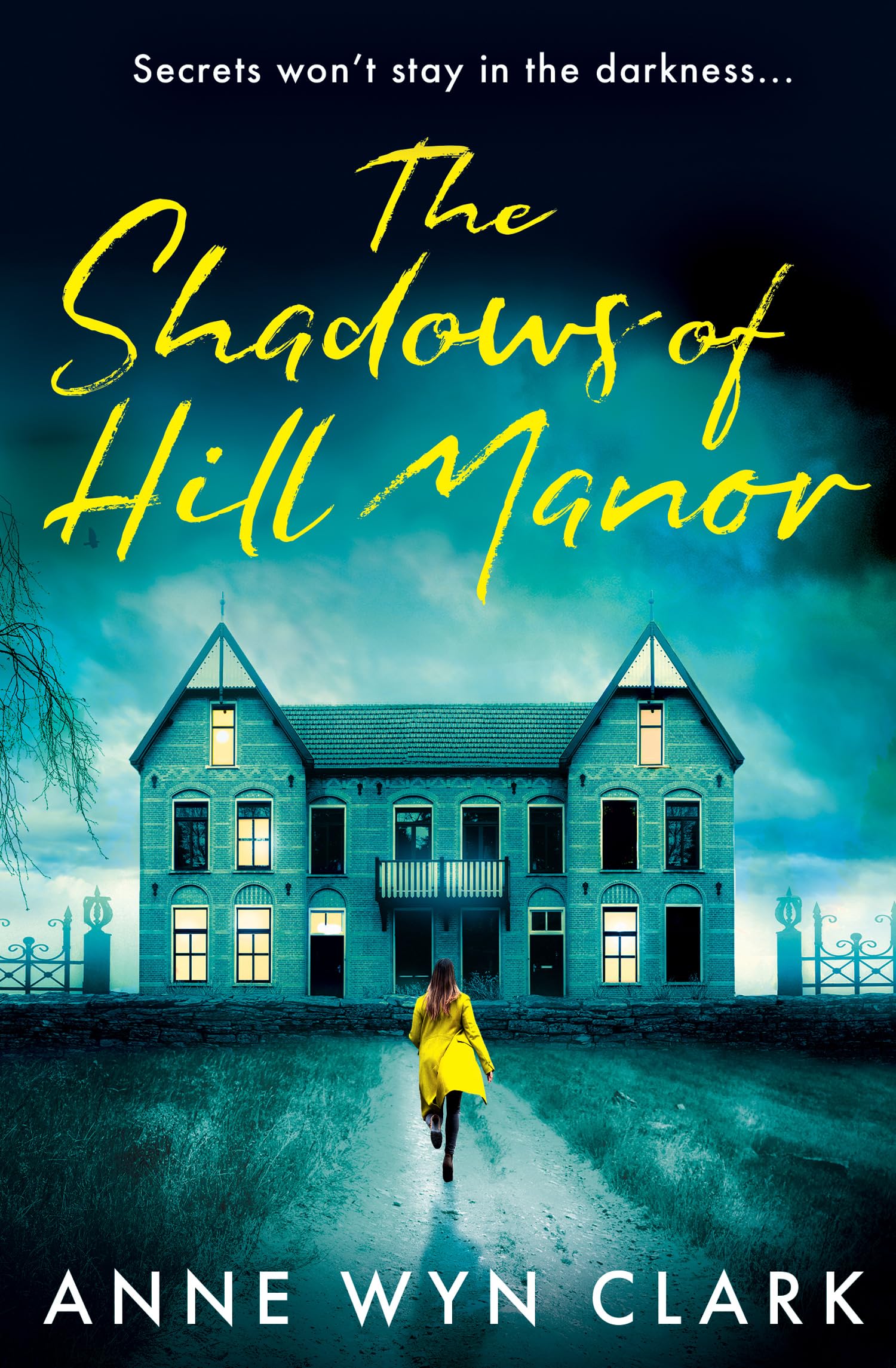 The Shadows of Hill Manor: The best new psychological suspense thriller for 2024, with a twist you wont see coming (The Thriller Collection) (Book 4)