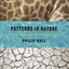 Patterns in Nature: Why the Natural World Looks the Way It Does