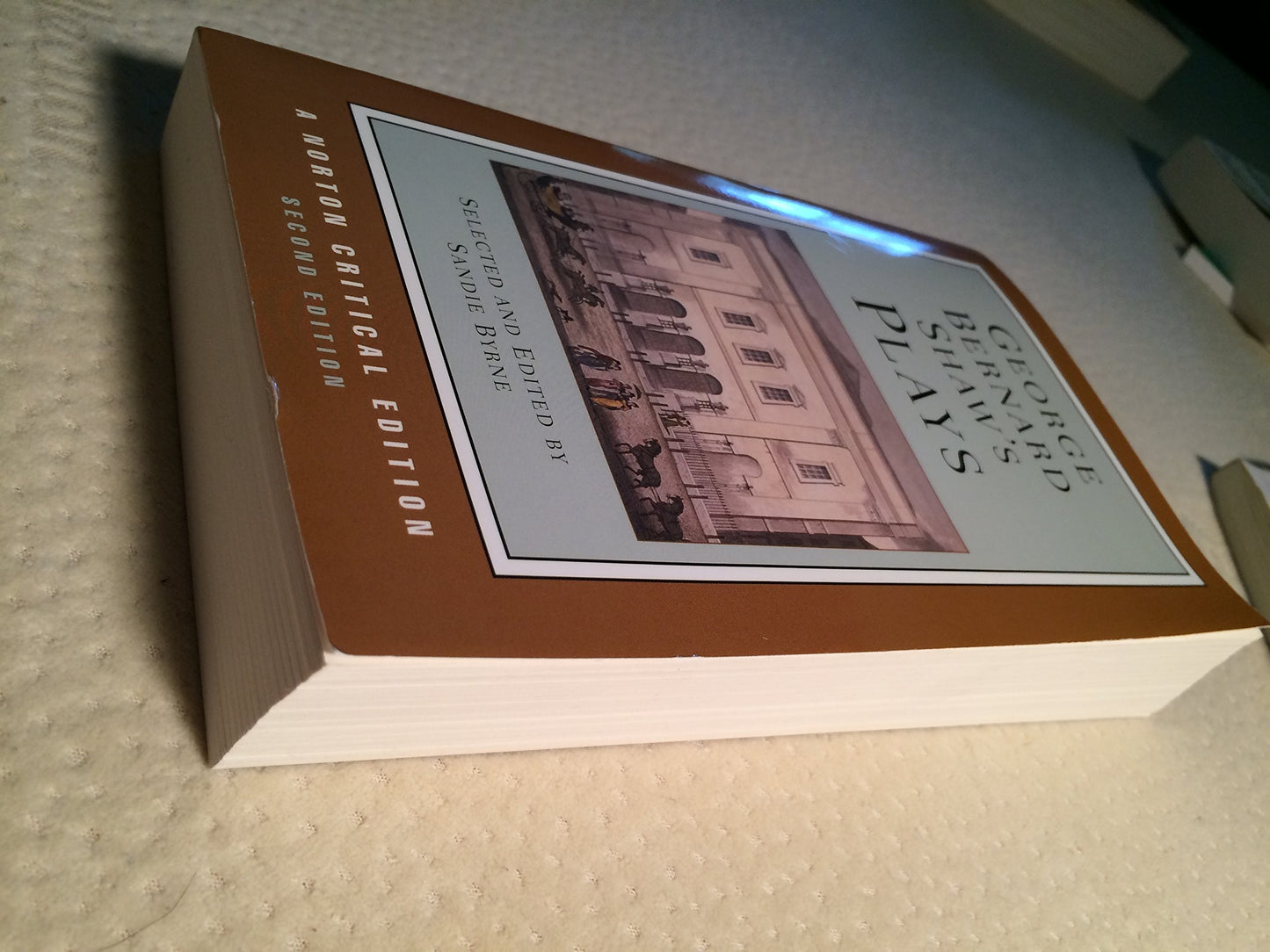 George Bernard Shaw's Plays (Norton Critical Editions)