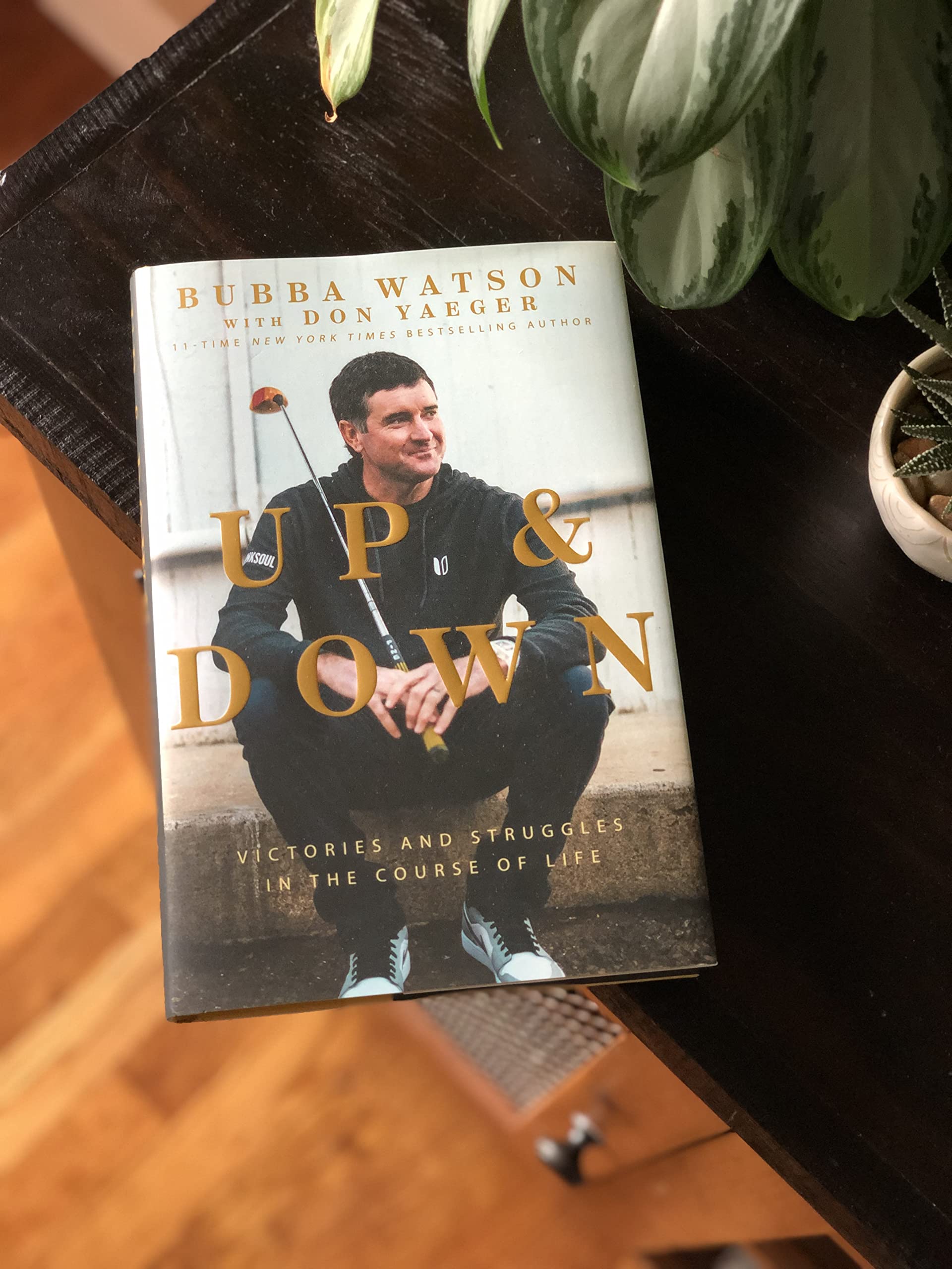 Up and Down: Victories and Struggles in the Course of Life