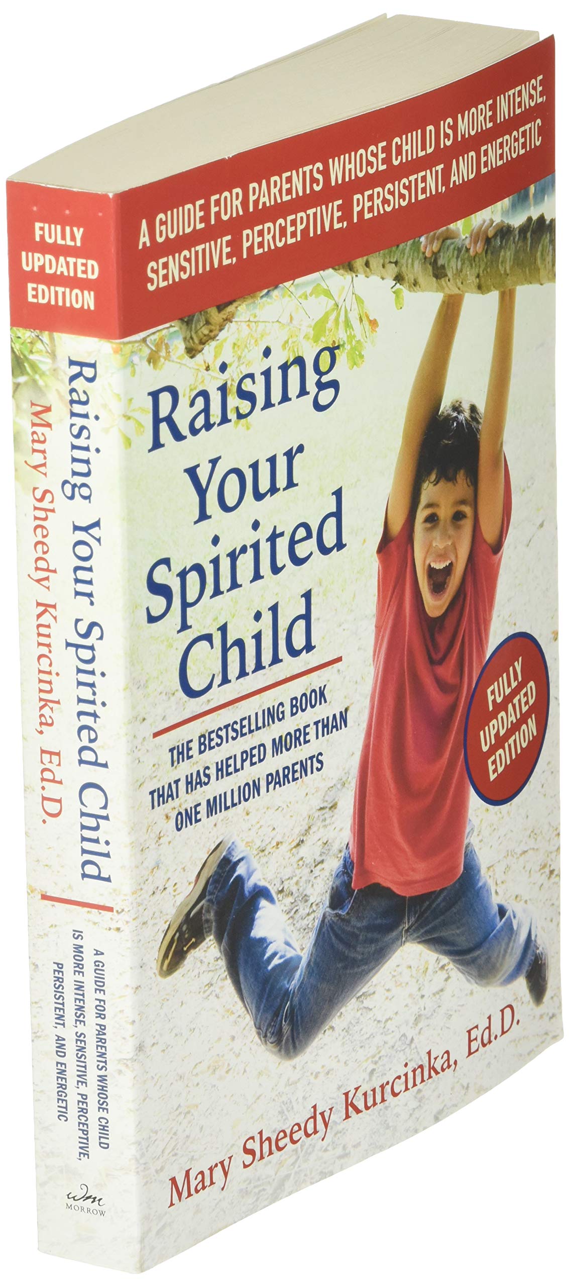 Raising Your Spirited Child, Third Edition: A Guide for Parents Whose Child Is More Intense, Sensitive, Perceptive, Persistent, and Energetic (Spirited Series)