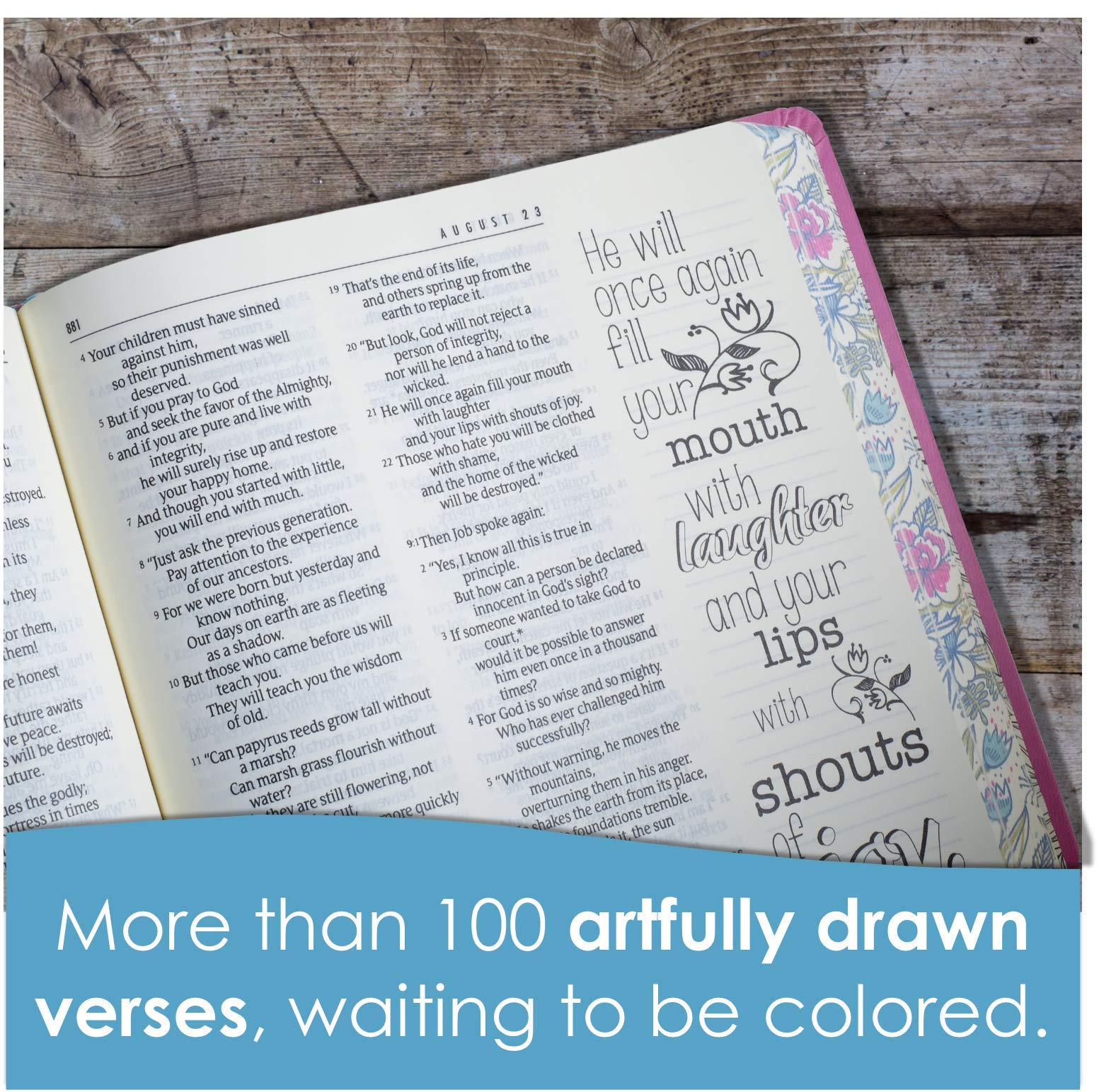 The One Year Bible Expressions NLT, Deluxe (Hardcover, Pink Flowers)