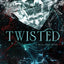 Never After Series 4 Books Collection Set By Emily McIntire(Wretched, Scarred, Hooked, Twisted)