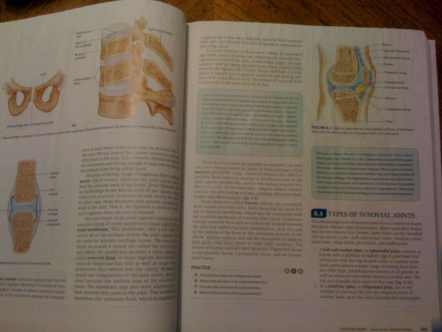 Hole's Human Anatomy & Physiology