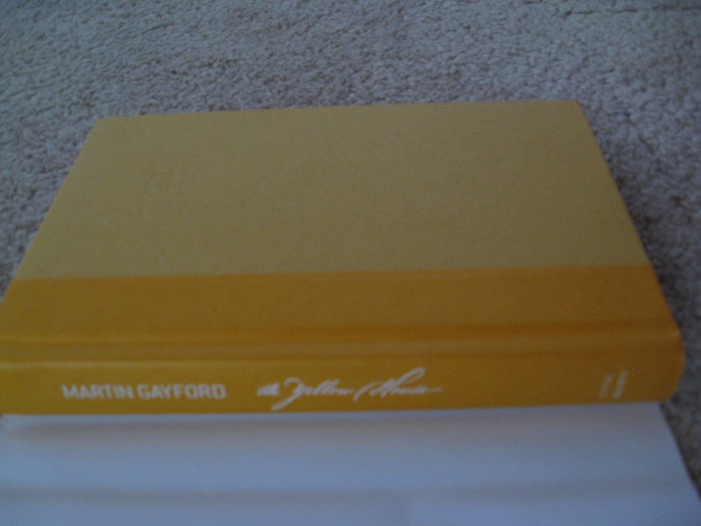 The Yellow House: Van Gogh, Gauguin, and Nine Turbulent Weeks