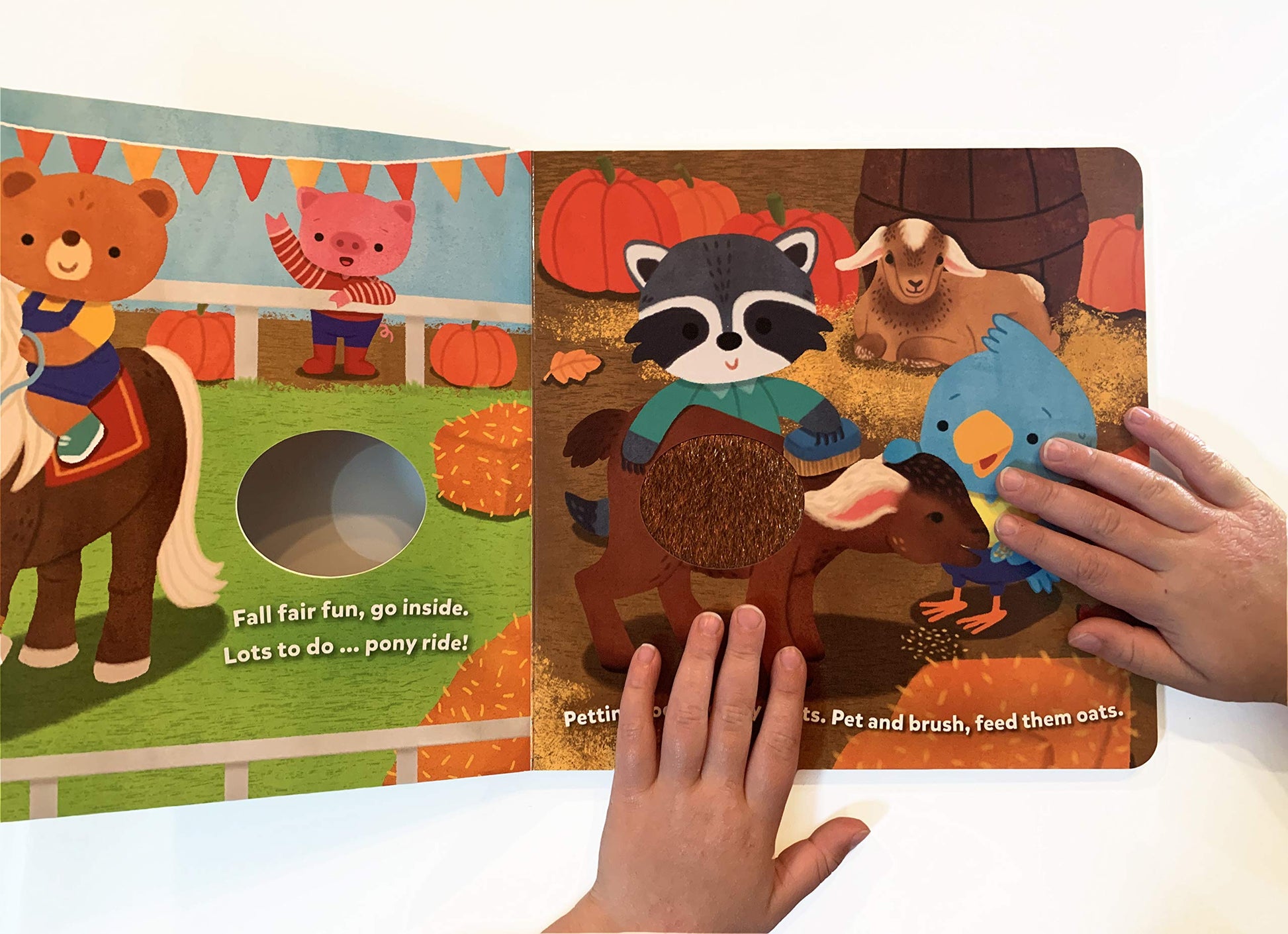 Fun Fall Day: A Touch and Feel Board Book
